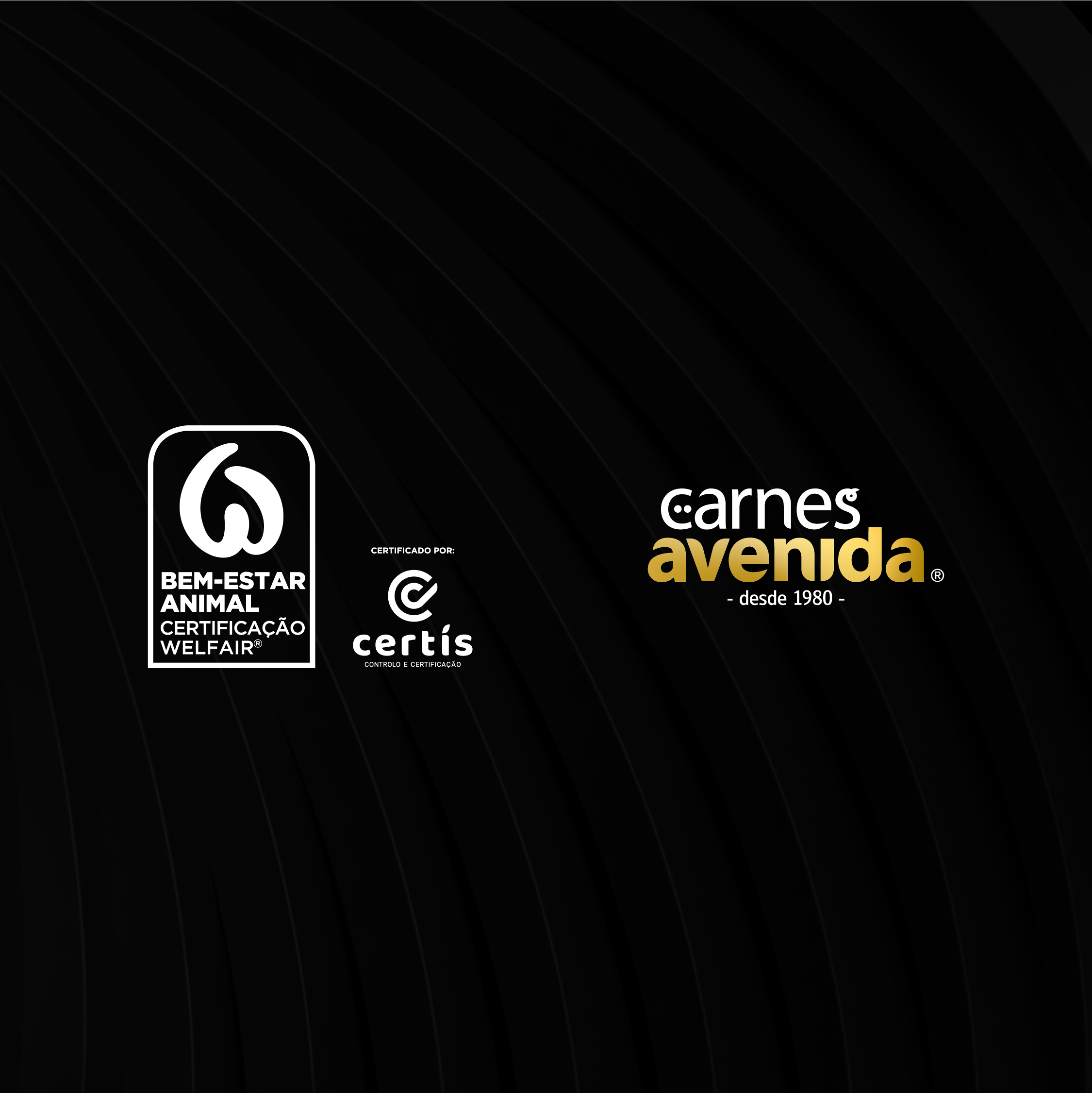 foto campanha