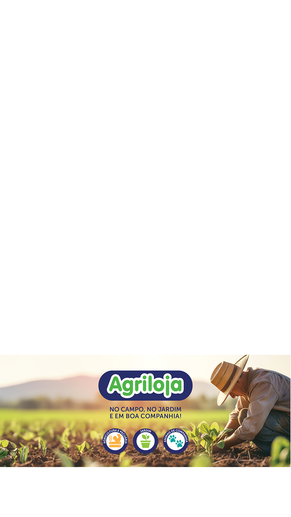 imagem representação de vencedor
