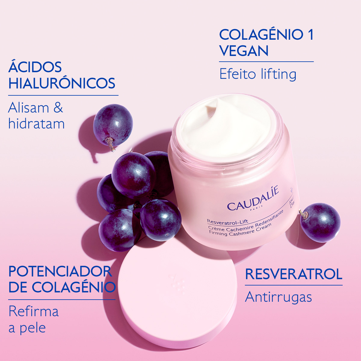 foto campanha