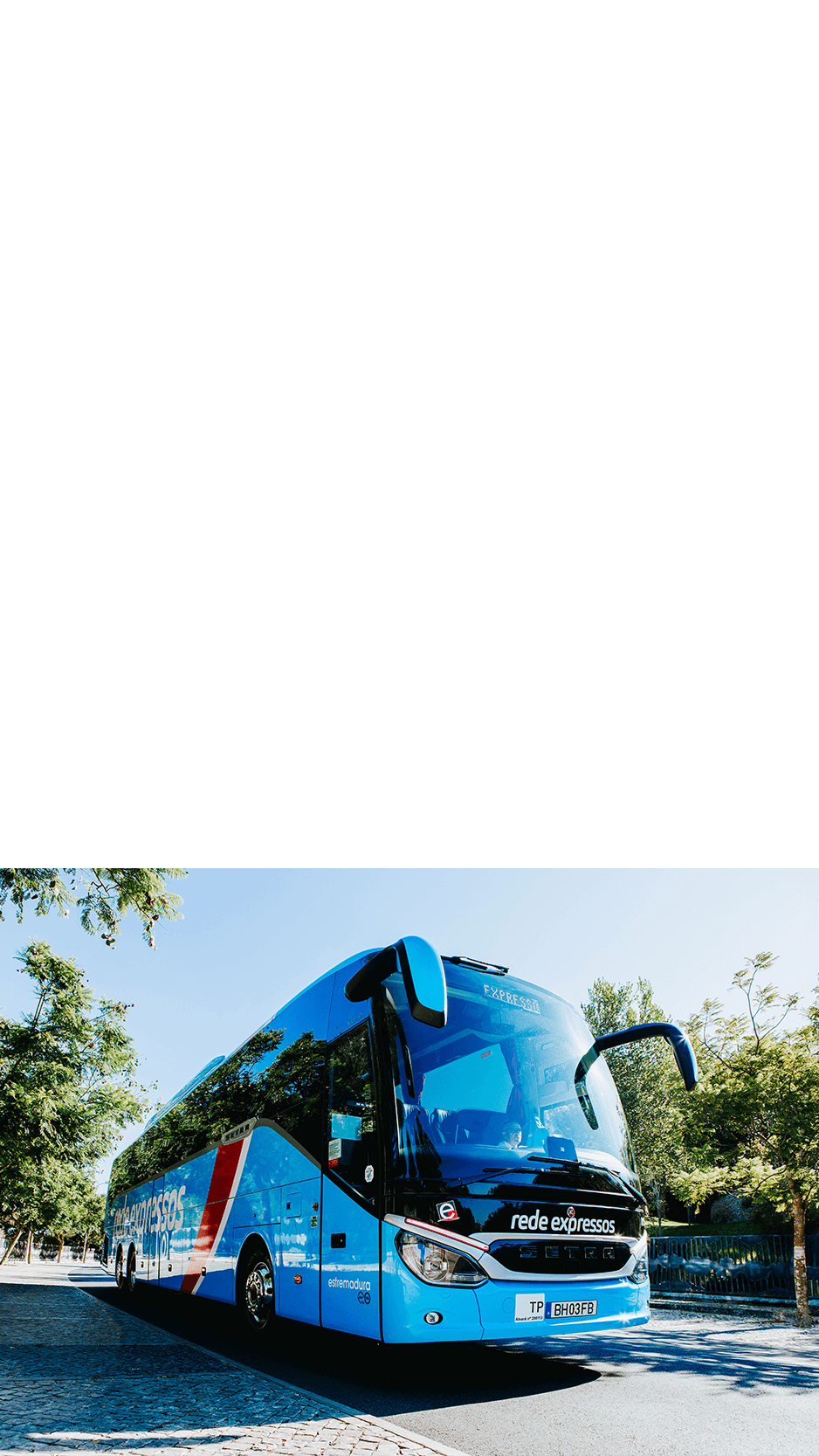 imagem representação de vencedor